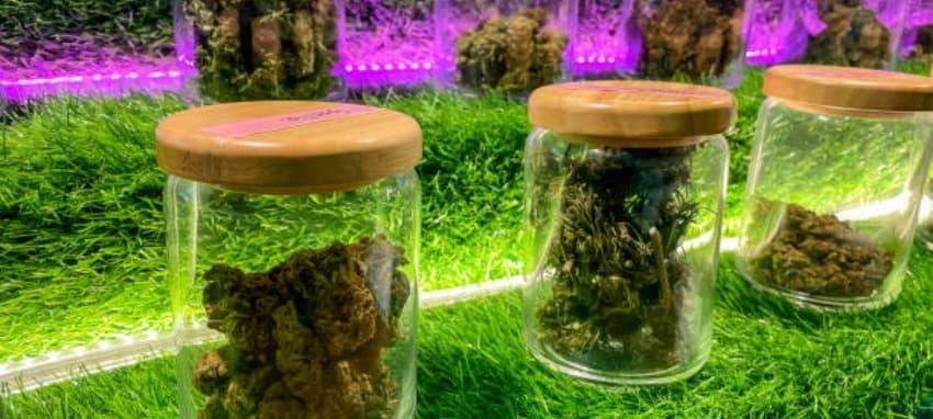 IBVAPE ile güncel smoke v pen 22 incelemesi ve karşılaştırma rehberi IBVAPE önerileriyle en iyi vape seçimi