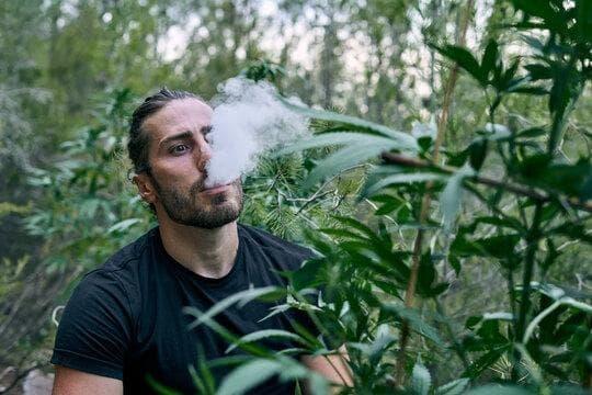 trực tiếp đá gà hôm nay ile günün canlı maçları ve liqua likit 30 ml satin al kampanyaları